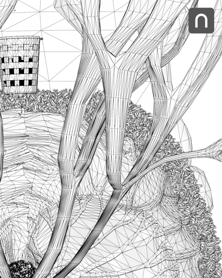 ビカクシダ_リドレイ_ポスター_下準備_wire_栽培記録_成長記録