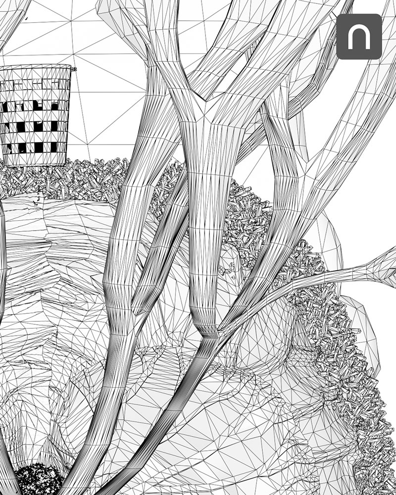 ビカクシダ リドレイ モデリング ポスター wire 下準備 02 栽培記録 成長記録