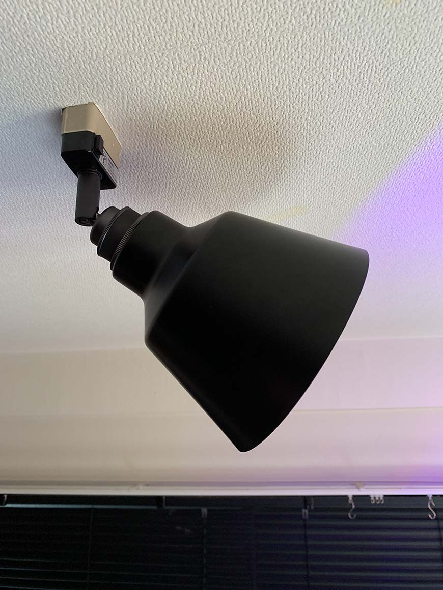 ビカクシダ_リドレイ_LED_照明_赤色_栽培記録_成長記録