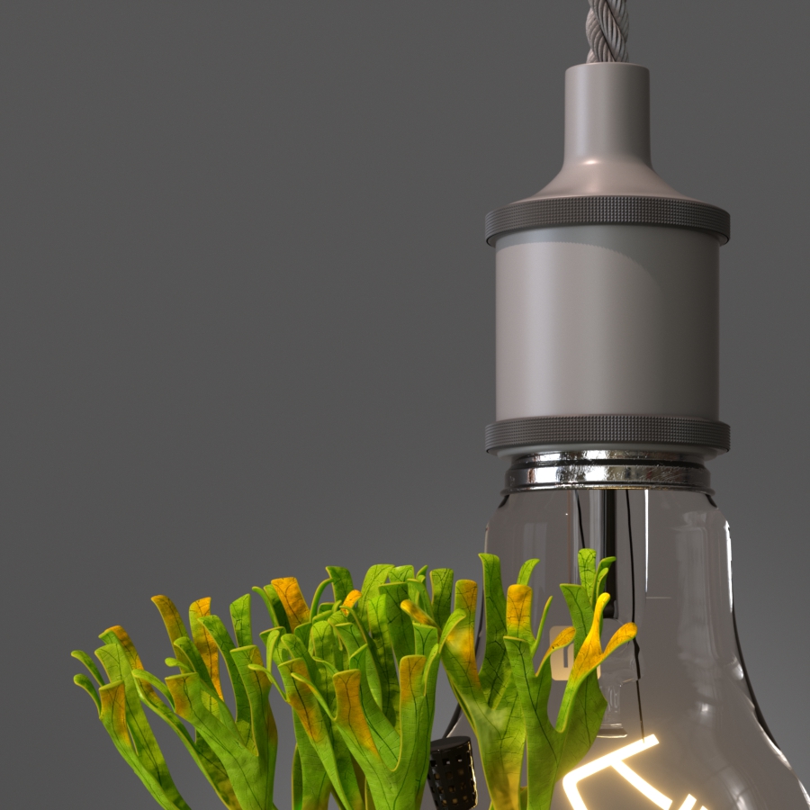 Detail of Platycerium ridleyi poster artwork 'Grow' – ビカクシダ リドレイ ポスター部分拡大 01 グレー