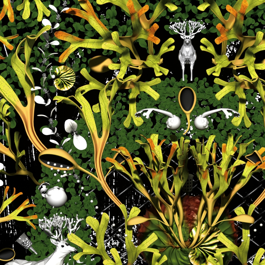 Detail of Platycerium ridleyi poster artwork 'Mandara' – ビカクシダ リドレイ ポスター部分拡大 01