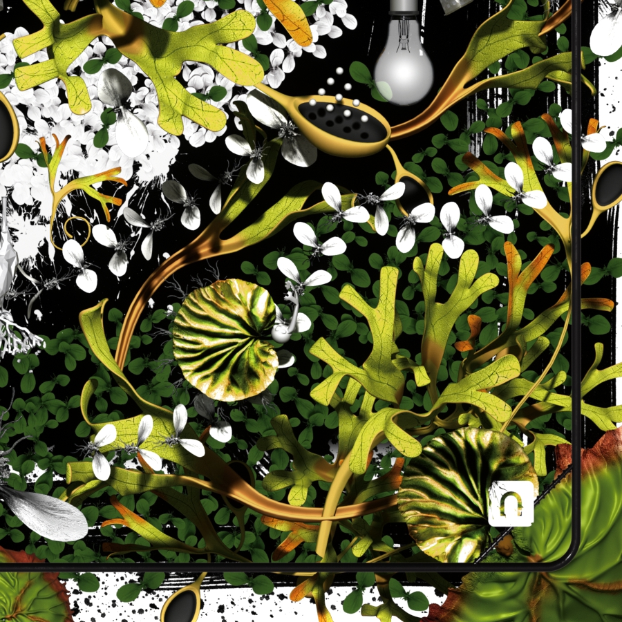 Detail of Platycerium ridleyi poster artwork 'Mandara' – ビカクシダ リドレイ ポスター部分拡大 02