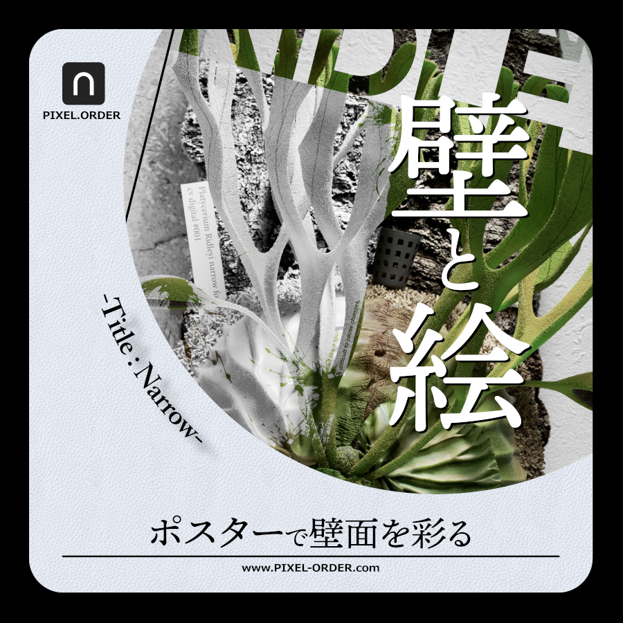 Platycerium ridleyi botanical poster keyvisual 'Narrow' – ビカクシダ リドレイ ポスター（PIXEL.ORDER）