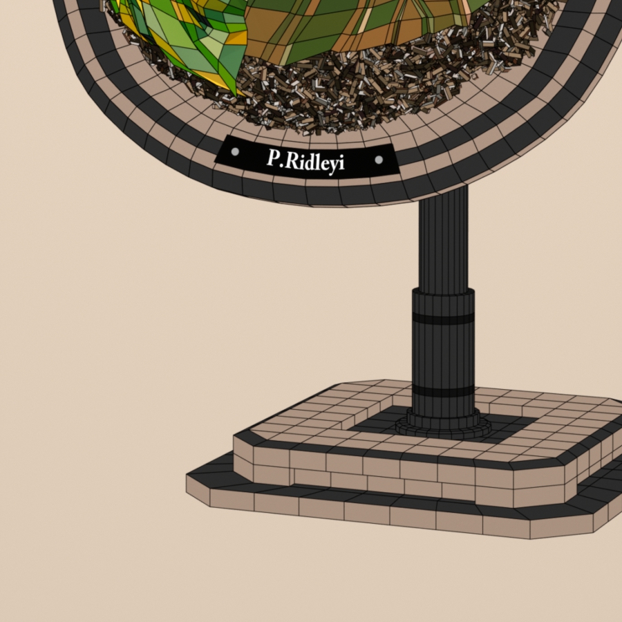 Detail of Platycerium ridleyi poster artwork 'Shield' – ビカクシダ リドレイ 質感・造形の部分拡大 02