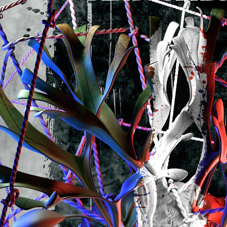 Detail of Platycerium ridleyi poster artwork 'GG' – ビカクシダ リドレイ ポスター部分拡大 01