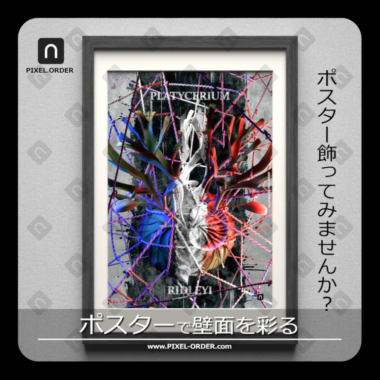 ビカクシダ リドレイ ポスター GG 植物モチーフ ボタニカル 01 PIXEL.ORDER