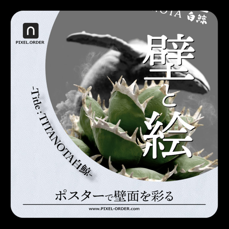 ビカクシダ_アガベ_agave_ポスター_イラスト_販売_デザイン_植物_インテリア_スポア_spore_poster_Platycerium_titanota_白鯨_Top_グラフィック