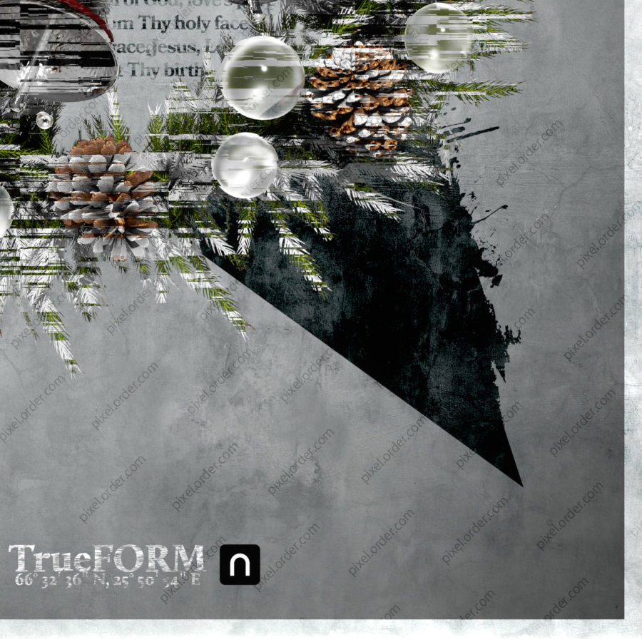 クリスマス リース ポスター TrueFORM 植物モチーフ ボタニカル 03 PIXEL.ORDER