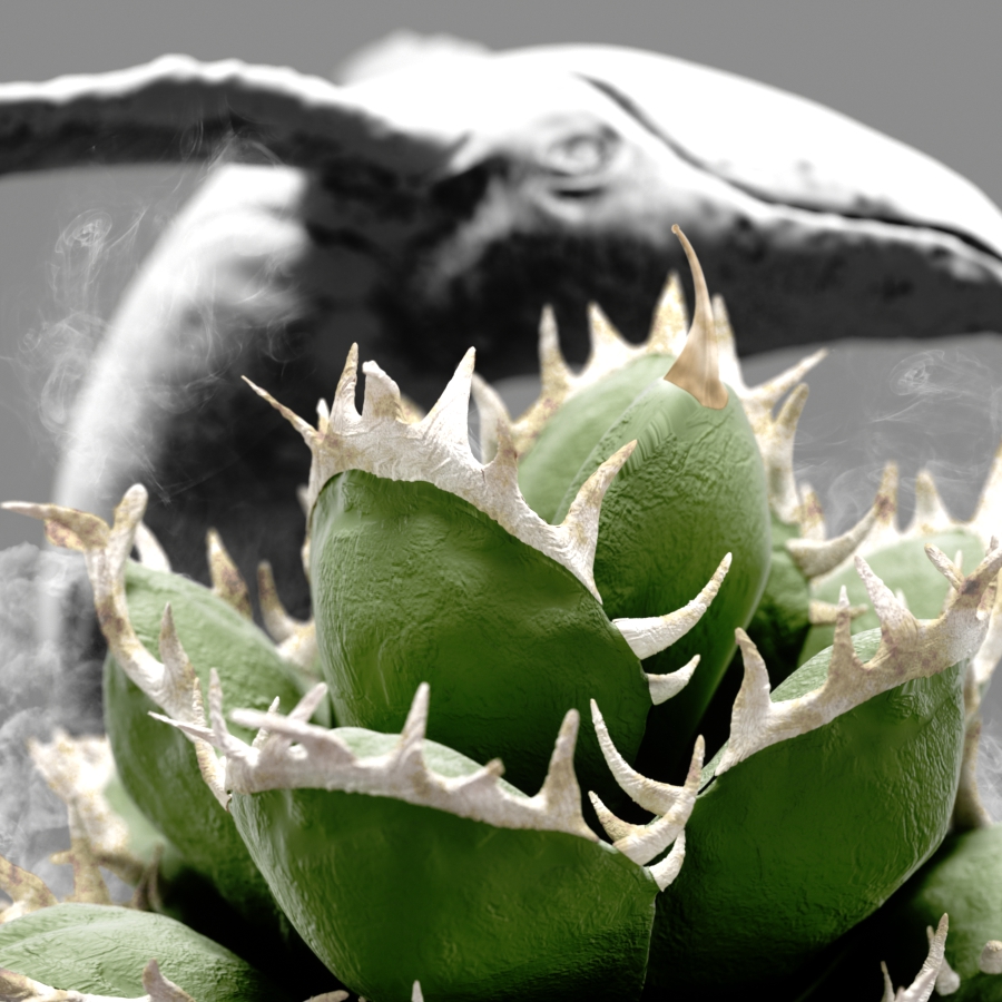 Detail of Agave titanota poster '白鯨' – アガベ チタノタ ポスター部分拡大 01