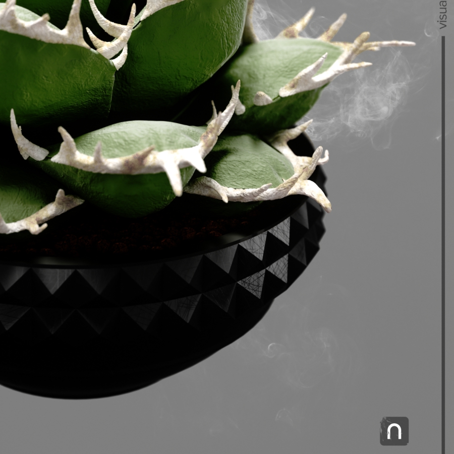 Detail of Agave titanota poster '白鯨' – アガベ チタノタ ポスター部分拡大 02