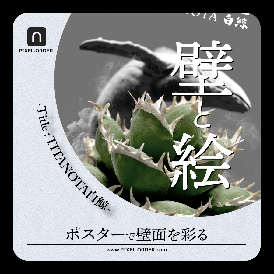 Agave titanota botanical poster keyvisual '白鯨' – アガベ チタノタ ポスター（PIXEL.ORDER）