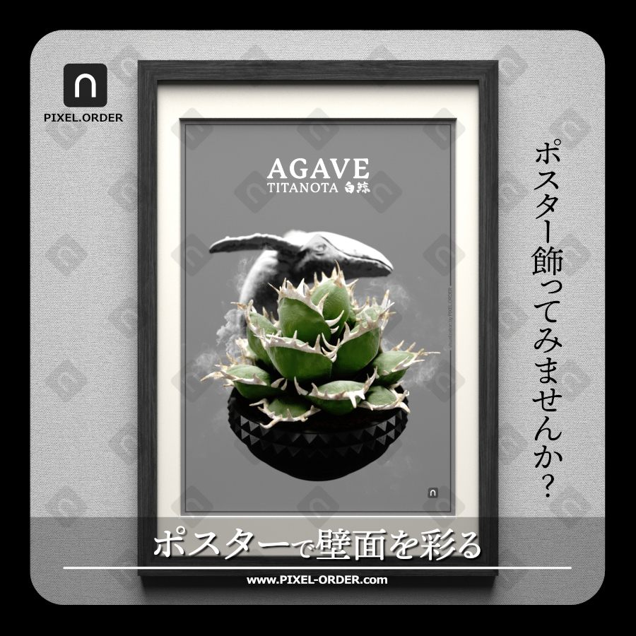Agave titanota botanical poster '白鯨' - アガベ チタノタ ポスター 作品全体（PIXEL.ORDER）