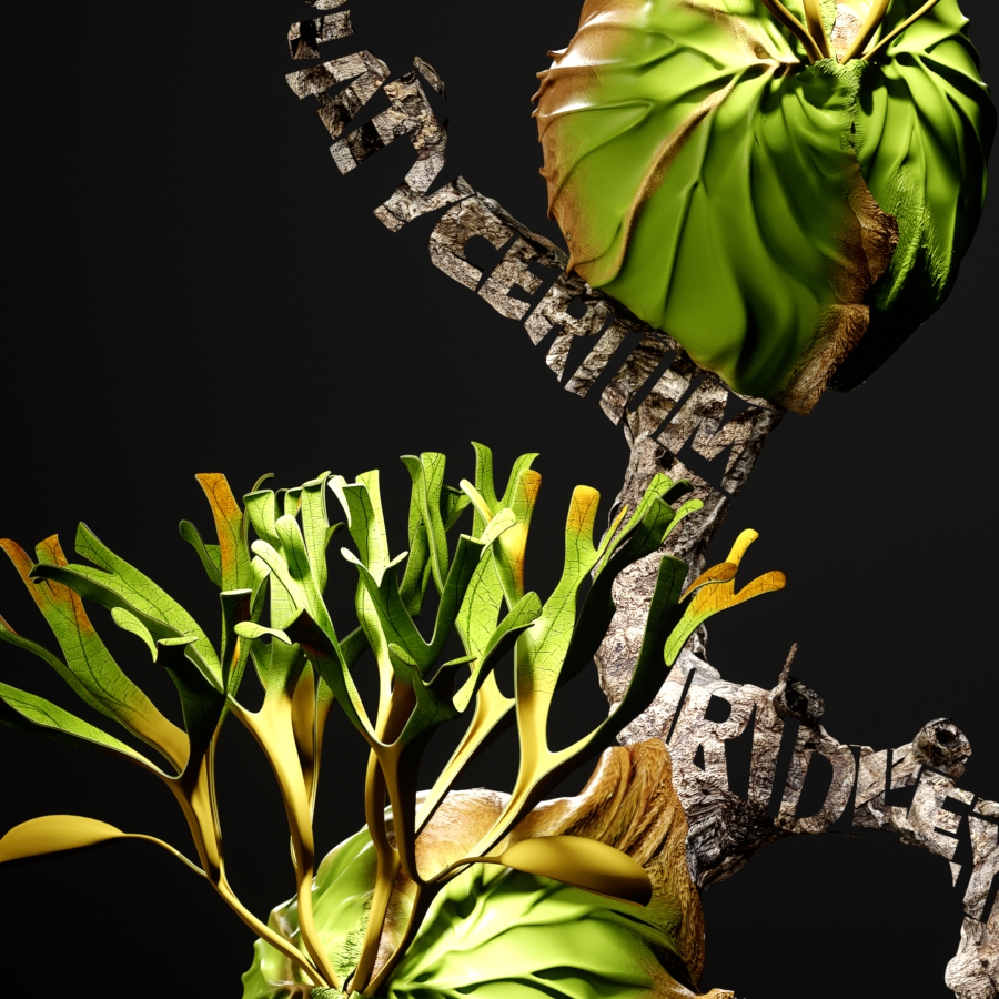 Detail of Platycerium ridleyi poster artwork 'illusion of a junction' – ビカクシダ リドレイ ポスター部分拡大 02