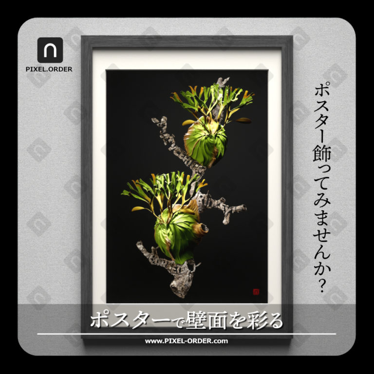 Platycerium ridleyi botanical poster artwork 'illusion of_a junction' – ビカクシダ リドレイ ポスター 作品全体（PIXEL.ORDER）
