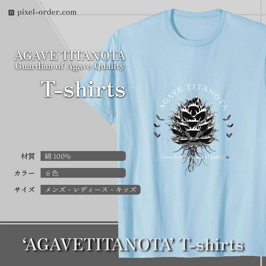 アガベ チタノタ 白鯨 Tシャツ AGAVE_T-shirts_babyblue