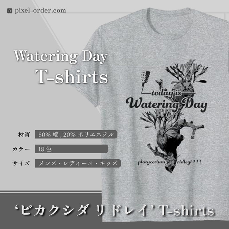 ビカクシダ リドレイ Tシャツ Watering-Day グレー PIXEL.ORDER