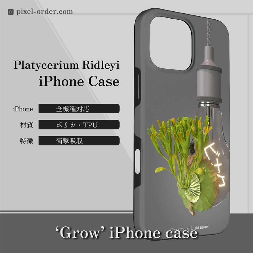 ビカクシダ_リドレイ_iphone-ケース-grow_001