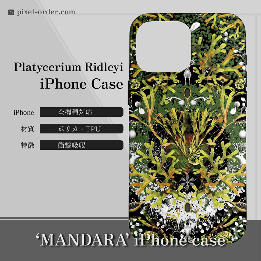 ビカクシダ_リドレイ_iphone-ケース-mandara_003