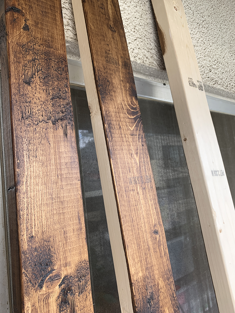 ビカクシダ リドレイ の為に壁を作る 02（Platycerium ridleyi）