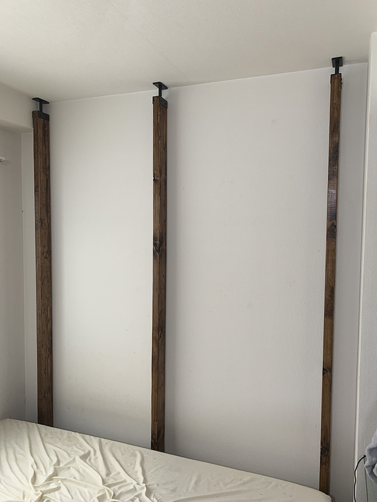 ビカクシダ リドレイ の為に壁を作る 03（Platycerium ridleyi）