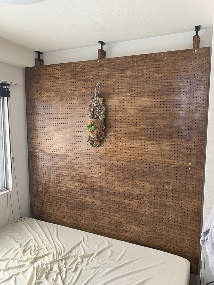 ビカクシダ リドレイ の為に壁を作る 04（Platycerium ridleyi）